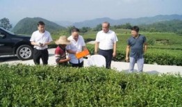 竹山农香最新爆料,带你走进神秘农产品世界